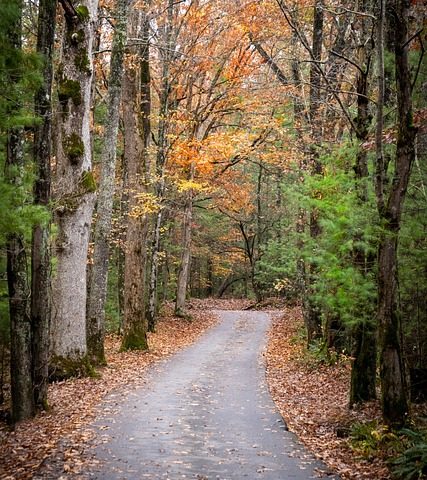 ADINA ‘SAMİMİYET’ DİYORLAR